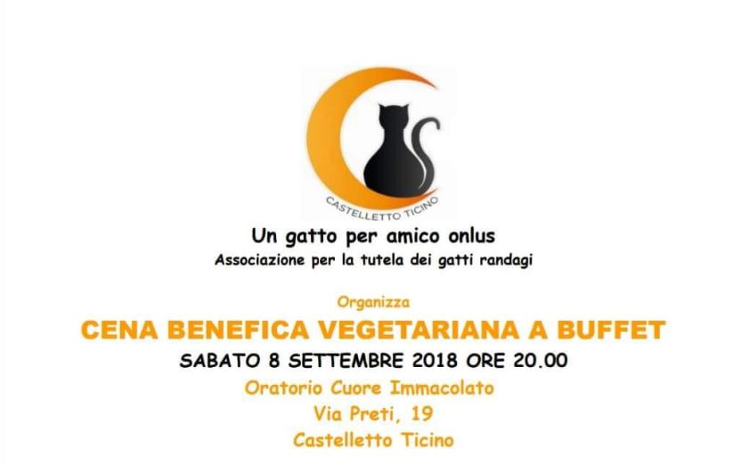 Iscrizioni aperte alla cena a favore dei gatti randagi