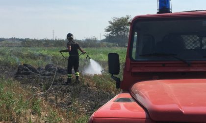 Pomeriggio di fuoco a Cerano: in fiamme le rotoballe