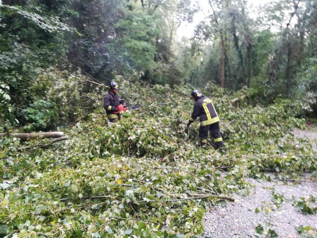 maltempo alberi caduti vigili fuoco