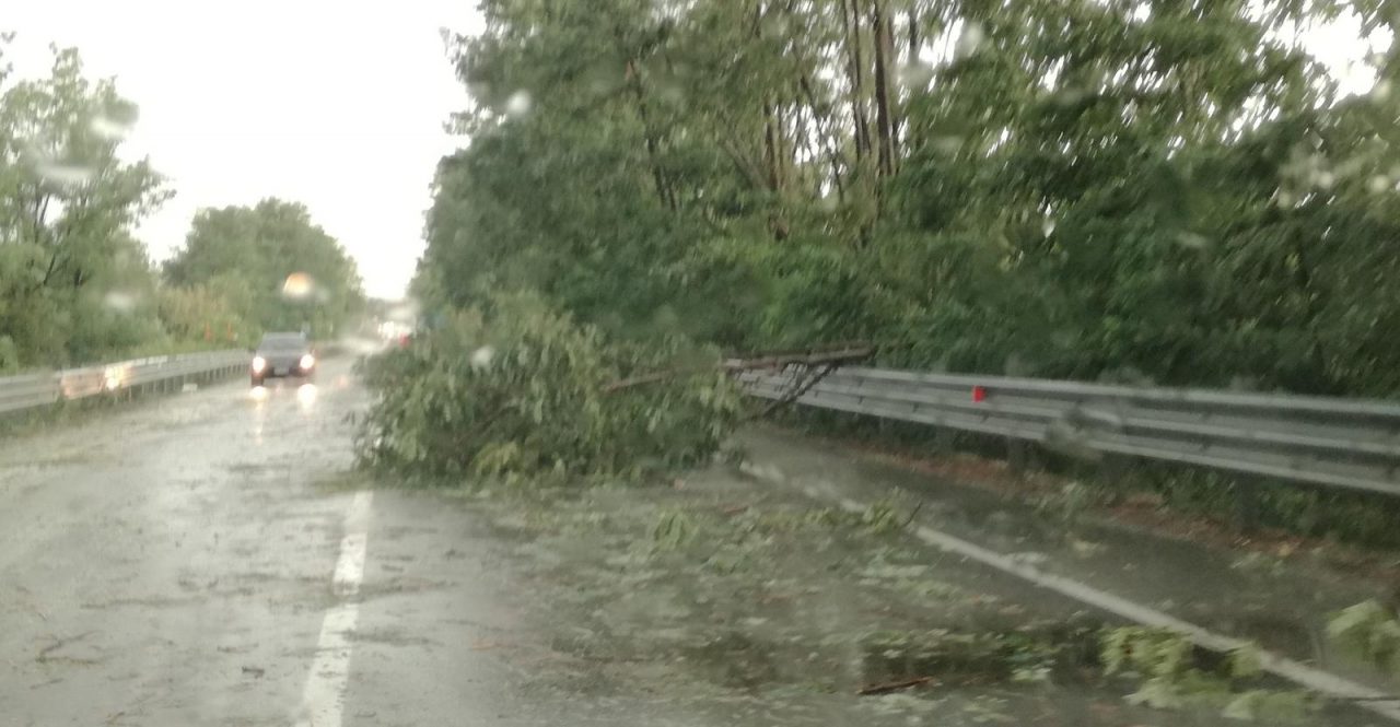 Continua la allerta meteo sul Novarese: alberi caduti e strade bloccate