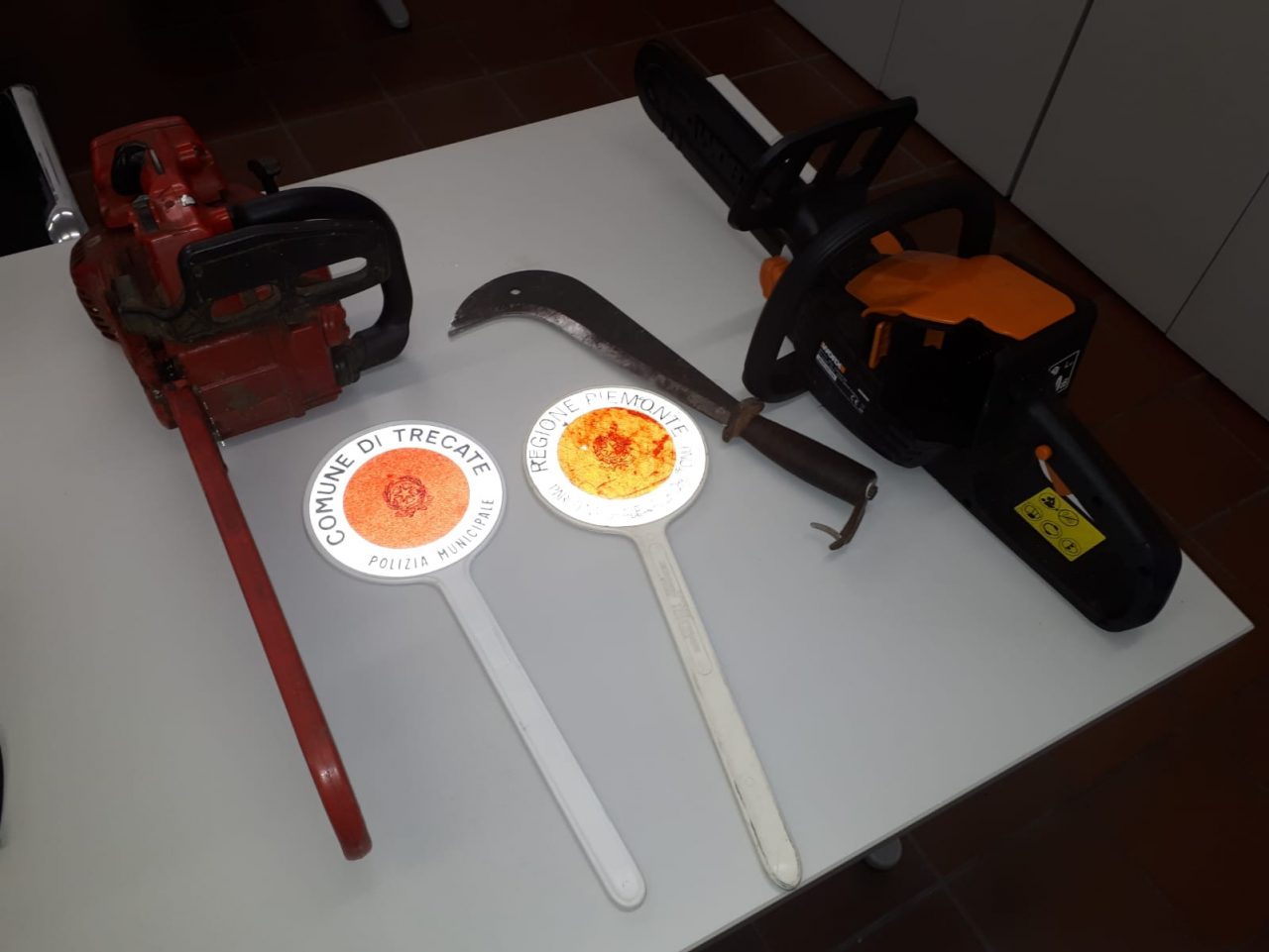 Taglia la legna nel parco del Ticino: denunciato