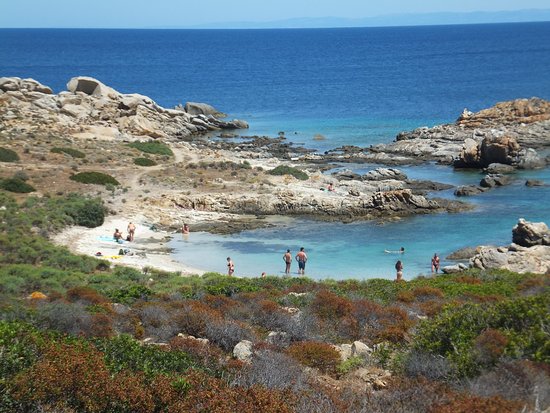 Studenti novaresi per promuovere il turismo all’Asinara