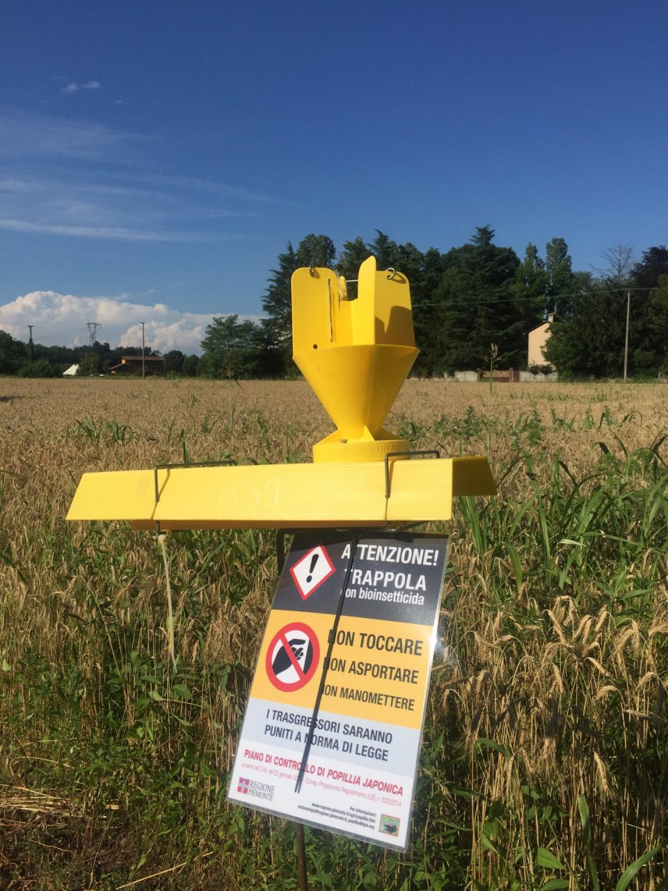 Popillia Japonica, continuano i furti di trappole