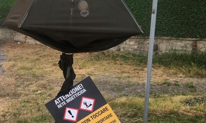 Furto trappole di Popilla Japonica