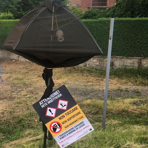 Furto trappole di Popilla Japonica