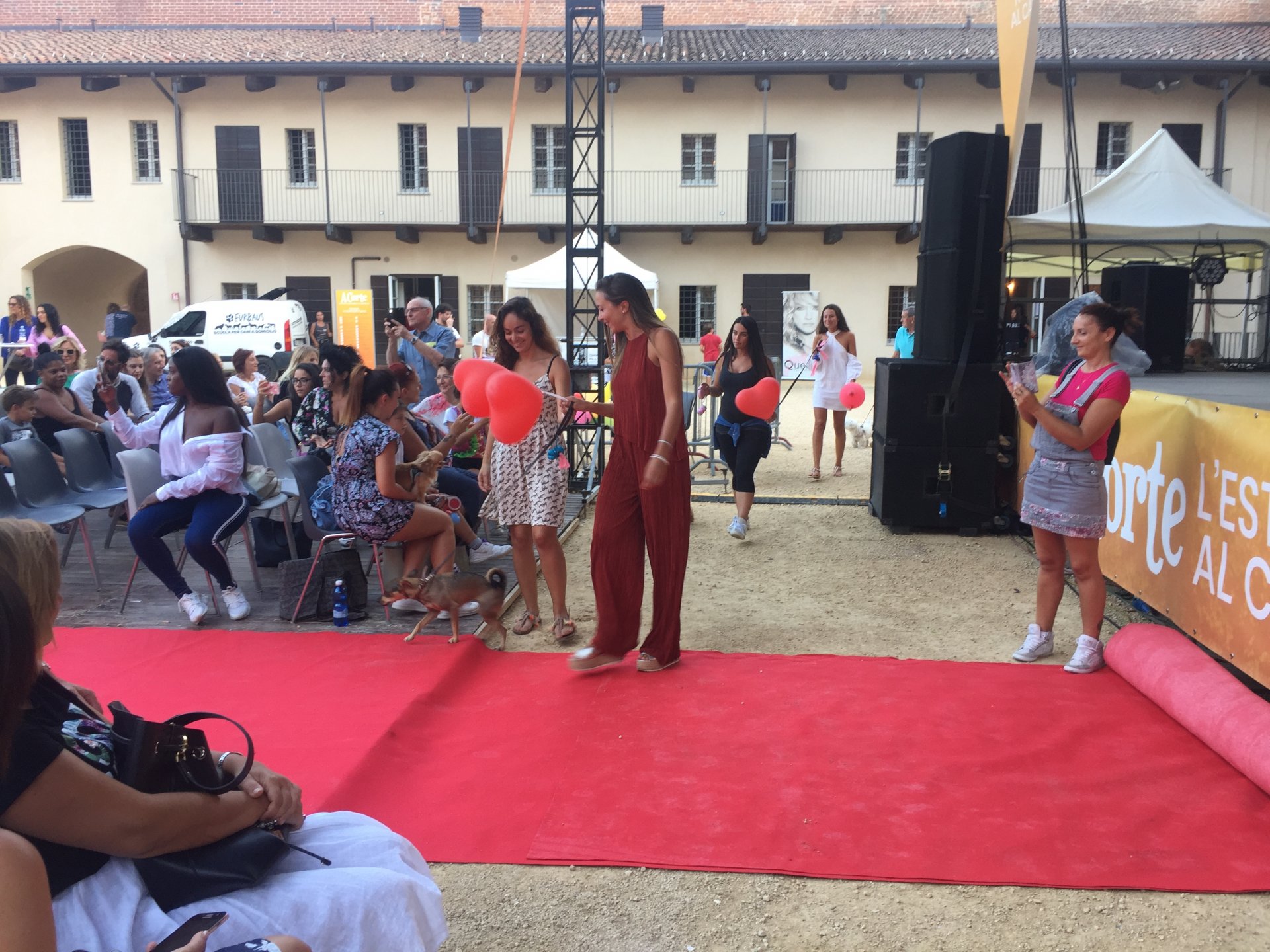 IMG-1104