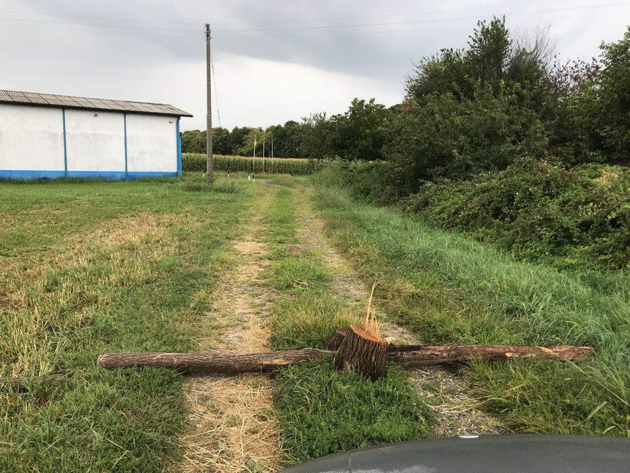 Ladri nella notte all’Aib di Marano Ticino