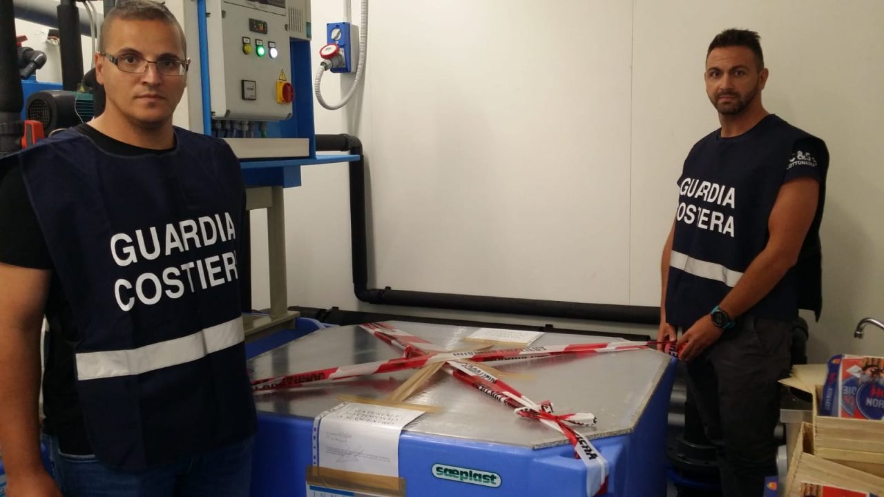 Maxisequestro di molluschi nel Verbano, blitz della Guardia Costiera