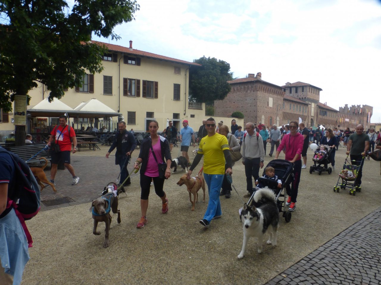 Stracanina Galliate