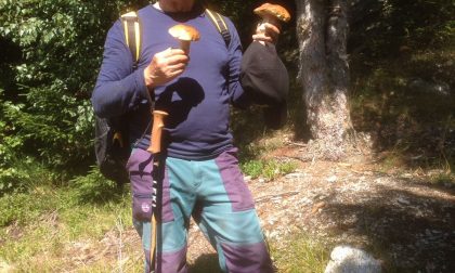 Scomparso nel bosco mentre cerca funghi