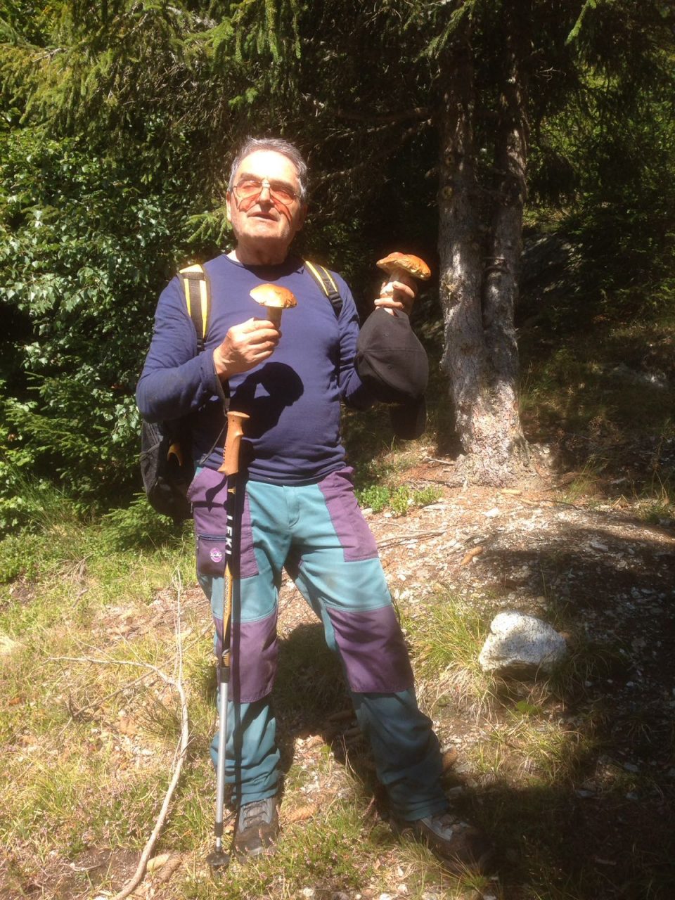 Scomparso nel bosco mentre cerca funghi