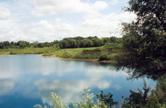 Parco del Ticino, Rossi: “Giunta Cirio contro i sindaci. Territori ostaggio del poltronismo della destra”
