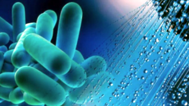 Legionella e polmonite in Lombardia: epidemia unica al mondo