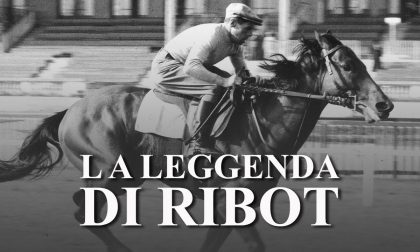Statua del cavallo Ribot in arrivo alle porte di Dormelletto
