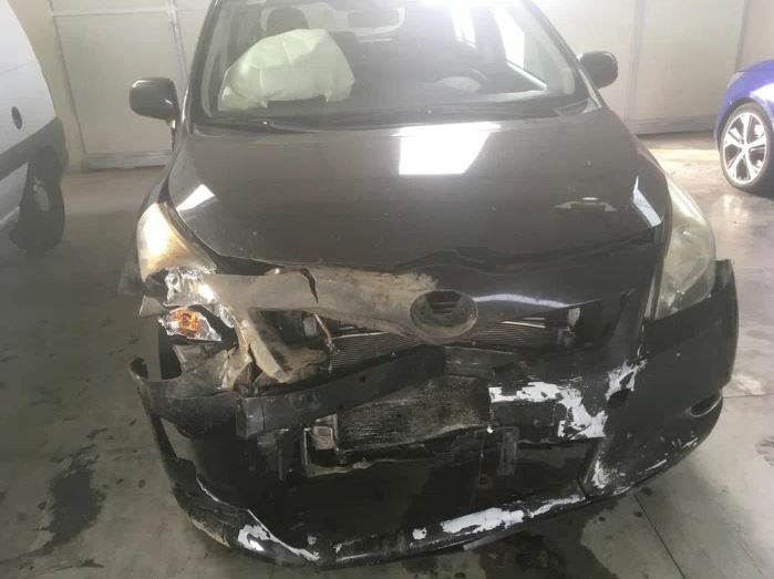 Investe cinghiale, auto distrutta