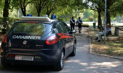 Auto piomba tra la gente: paura in un parco nel torinese
