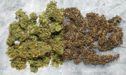 Commesso arrestato per spaccio di droga