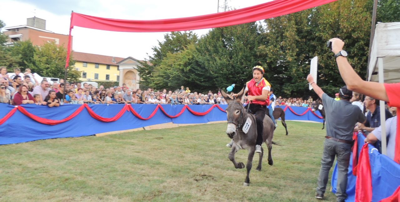 Palio degli asini, vince il rione San Gottardo FOTOGALLERY