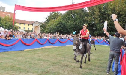 Palio degli asini, vince il rione San Gottardo FOTOGALLERY