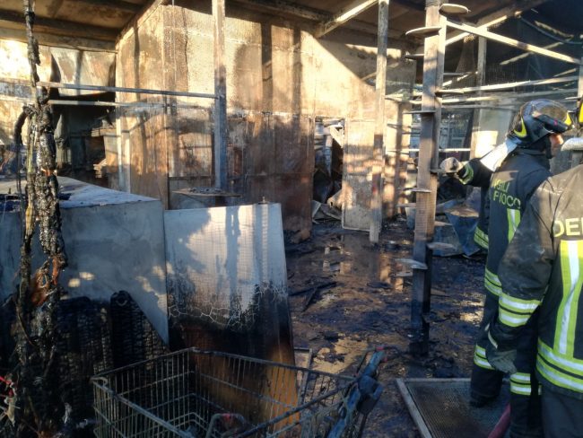 Incendio al gattile di Rho, strage di mici: sono morti tutti. FOTO e VIDEO