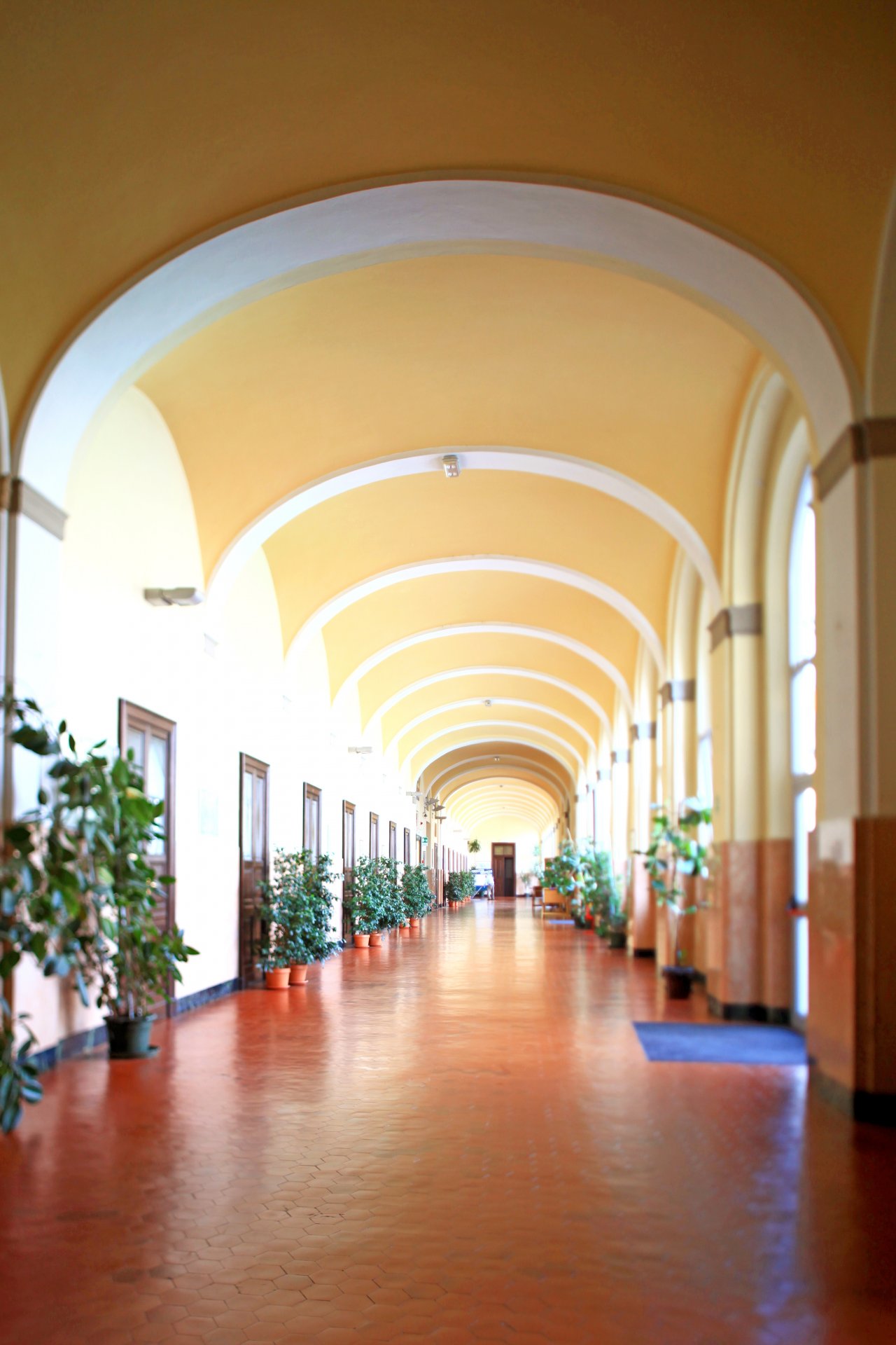 159_Salesiani Novara_2