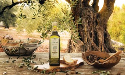 Fratelli Carli ospiterà le degustazioni dell’olio appena prodotto
