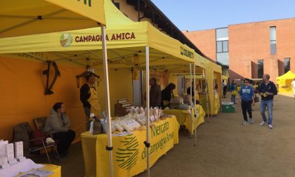 Campagna Amica al Castello, i prodotti della terra nel cuore di Novara