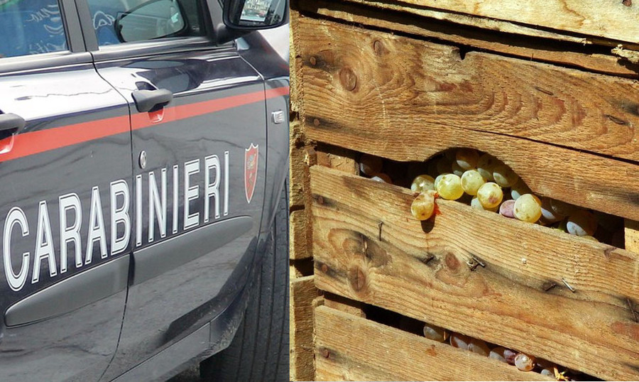 Truffa delle cassette di frutta a Novara: arrestato venditore ambulante