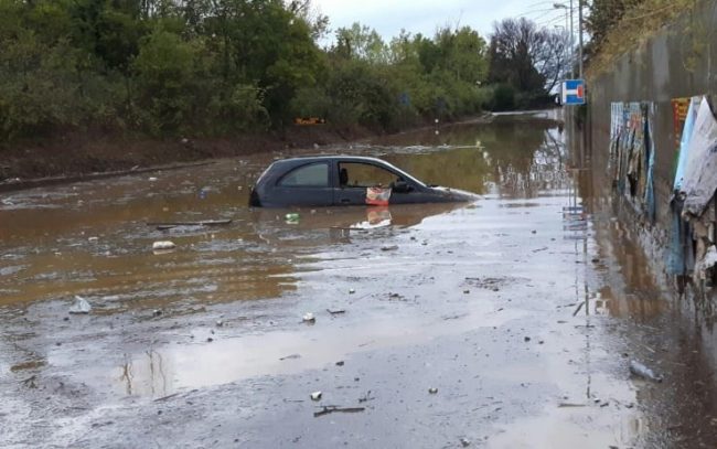 I-React, la app tutta torinese per fronteggiare le emergenze ambientali