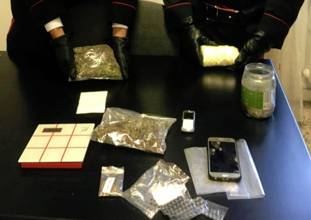 Droga in casa e piante di marijuana alte due metri