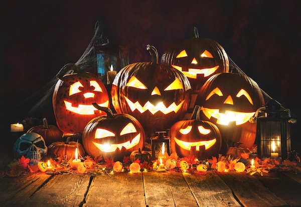 Cosa fare a Novara e Provincia: gli eventi del weekend di Halloween