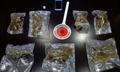 Cane antidroga scopre marijuana in pizzeria