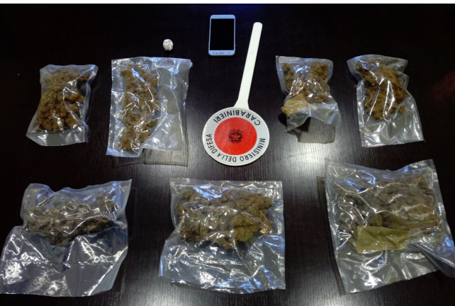 Cane antidroga scopre marijuana in pizzeria