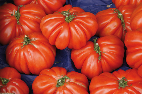 Frammenti di vetro nella salsa di pomodoro: allerta del Ministero della Salute