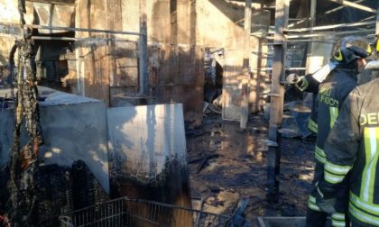 I Gatti del Borgo attivano un canale diretto con il gattile di Rho