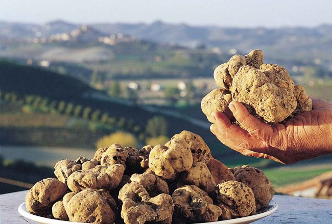 Prezzo tartufo in calo rispetto allo scorso anno