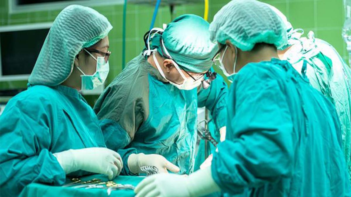 Tartaruga nella vagina: ricoverata ad Arona (quella gemellata)