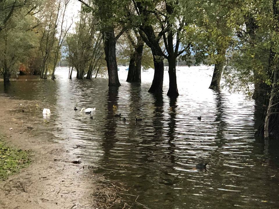 Cantine e garage allagati ad Arona ma il lago non esonderà