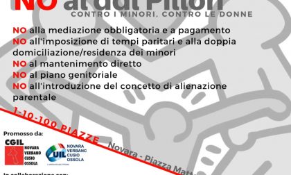 Anche a Novara il comitato NoPillon scende in piazza