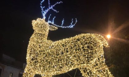 Natale Aronese: oggi le luci, domani l'albero