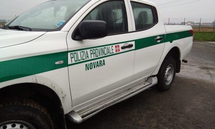 Controlli della Polizia Provinciale lungo le strade del novarese