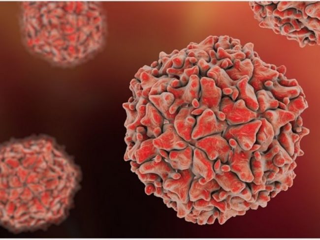 Caso di simil polio a Pavia: colpito bambino di 6 anni