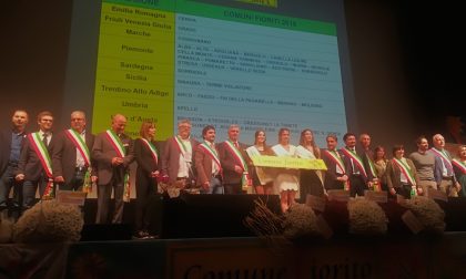 Comuni fioriti, a Stresa confermati 4 fiori rossi e la targa Top Green