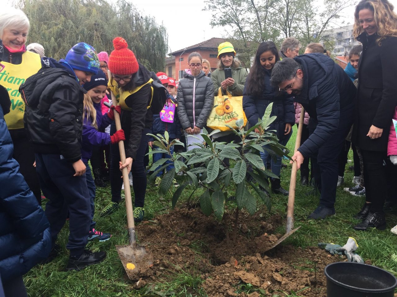 Festa dell’Albero, sette nuove piante per il parco di via Cefalonia (FOTOGALLERY)