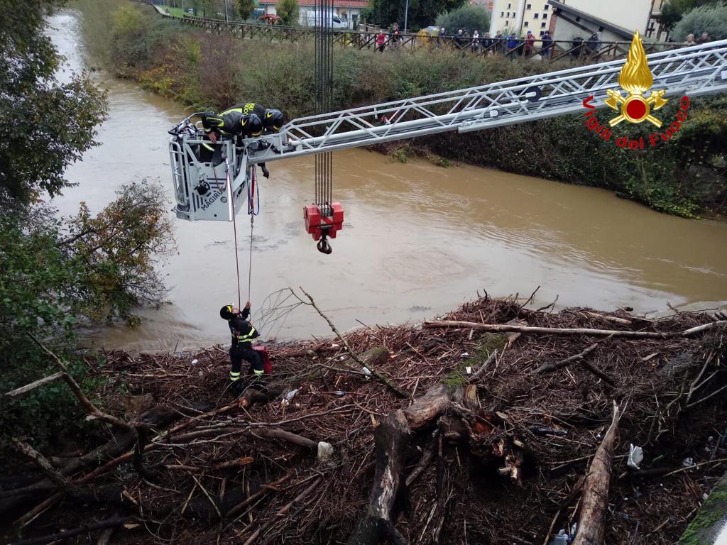 Torrente Agogna intasato dalle piante, intervengono i Vigili del Fuoco