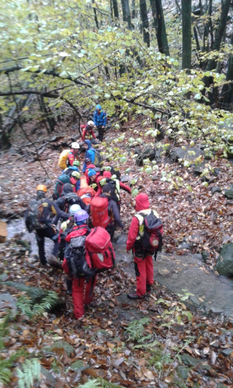 Ritrovato cercatore di funghi disperso nei boschi