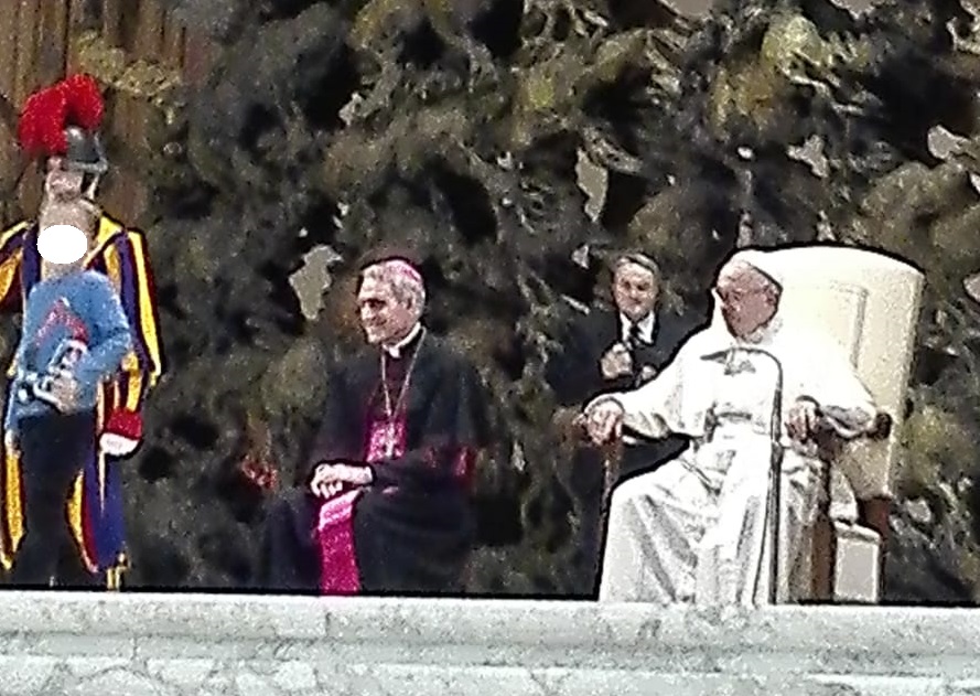 E’ di Verona il bimbo che ha interrotto l’udienza del Papa VIDEO