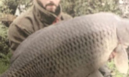 Pescata una carpa di 25 chili al lago di Viverone