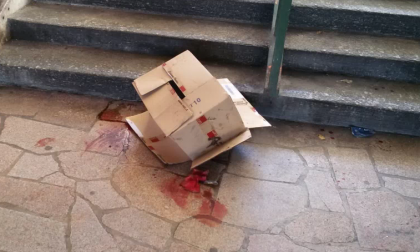 Sangue nel sottopasso: che è successo?