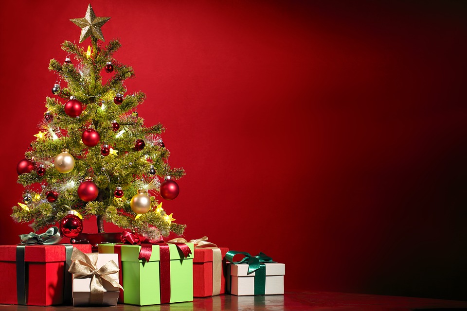Gozzano: al via online il concorso per gli alberi di Natale più belli